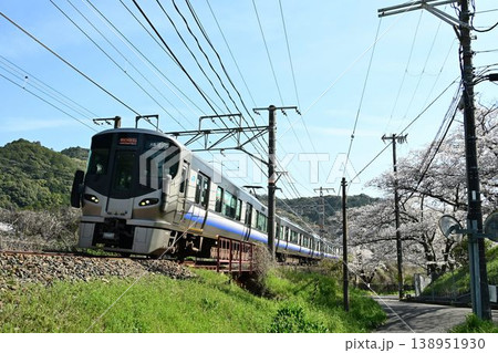 山中渓 紀州街道の宿場 約1000本の見事な桜並木 阪和線山中渓駅 山中渓 紀州街道の宿場 約1000本の見事な桜並木 阪和線山中渓駅 138951930