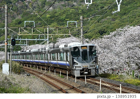 山中渓　紀州街道の宿場　約1000本の見事な桜並木　阪和線山中渓駅 138951935