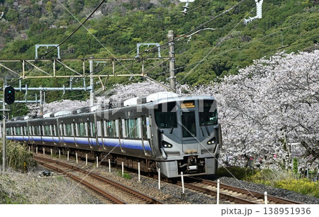 山中渓 紀州街道の宿場 約1000本の見事な桜並木 阪和線山中渓駅 山中渓 紀州街道の宿場 約1000本の見事な桜並木 阪和線山中渓駅 138951936