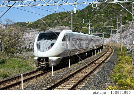 山中渓　約1000本の見事な桜並木　阪和線山中渓駅を通過する特急電車 138951990