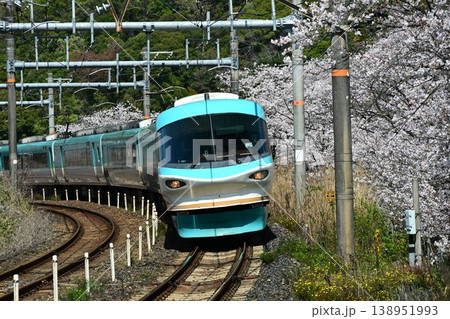 山中渓　約1000本の見事な桜並木　阪和線山中渓駅を通過する特急電車 138951993