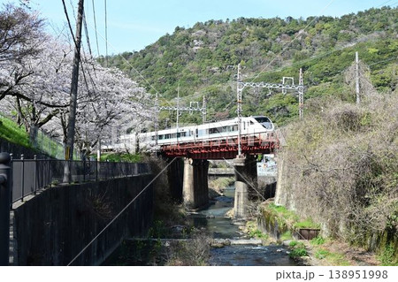 山中渓　約1000本の見事な桜並木　阪和線山中渓駅を通過する特急電車 138951998