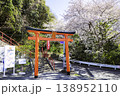満開の桜が美しい愛宕神社（福岡県福岡市） 138952110