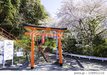 満開の桜が美しい愛宕神社(福岡県福岡市) 満開の桜が美しい愛宕神社(福岡県福岡市) 138952110