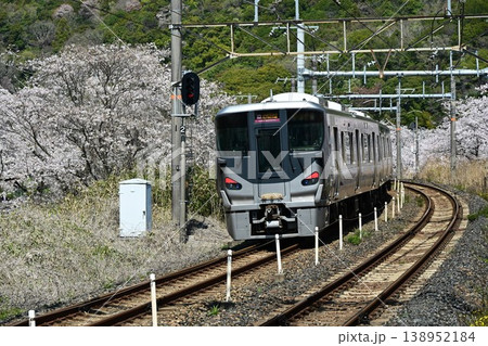 山中渓　紀州街道の宿場　約1000本の見事な桜並木　阪和線山中渓駅 138952184