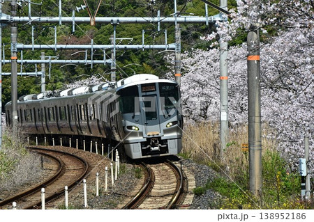 山中渓 紀州街道の宿場 約1000本の見事な桜並木 阪和線山中渓駅 山中渓 紀州街道の宿場 約1000本の見事な桜並木 阪和線山中渓駅 138952186