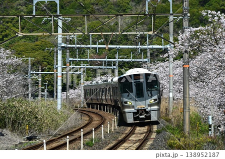 山中渓　紀州街道の宿場　約1000本の見事な桜並木　阪和線山中渓駅 138952187