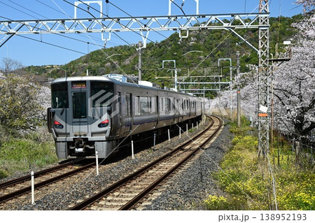 山中渓　紀州街道の宿場　約1000本の見事な桜並木　阪和線山中渓駅 138952193