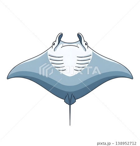 Graceful Manta Ray Ocean Creature Marine Life Illustration 138952712