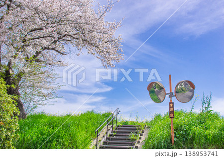 土浦の桜 土浦の桜 138953741