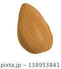 Hazelnut 138953841