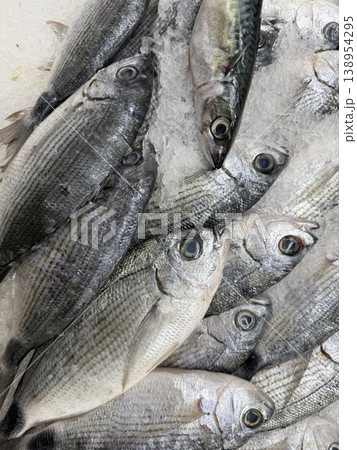 Fresh fish arranged on ice display showcase pale scales and distinct eyes for culinary use Fresh fish arranged on ice display showcase pale scales and distinct eyes for culinary use 138954295