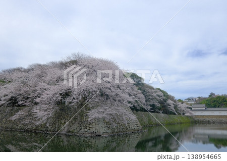 桜の花咲く彦根城の堀と天守閣 桜の花咲く彦根城の堀と天守閣 138954665