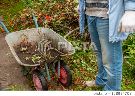 Man worker standing next to garden wheelbarrow with cut tree branches in backyard. Farmer cleaning garden after autumn harvest. Seasonal yard work, agriculture and horticulture maintenance. Man worker standing next to garden wheelbarrow with cut tree branches in backyard. Farmer cleaning garden after autumn harvest. Seasonal yard work, agriculture and horticulture maintenance. 138954708