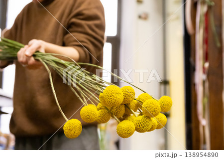 Woman florist holding bouquet of yellow craspedia flowers. Professional decorator arranging billy button plants for floral composition. Decorative botanical design for home decor and interior. Woman florist holding bouquet of yellow craspedia flowers. Professional decorator arranging billy button plants for floral composition. Decorative botanical design for home decor and interior. 138954890
