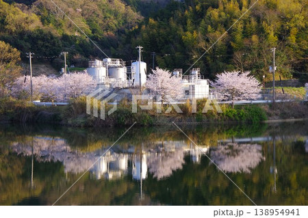 兵庫県淡路市 桜の咲く河内浄水場 兵庫県淡路市 桜の咲く河内浄水場 138954941