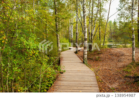 Wooden pathway winding through lush green forest near calm water on a peaceful day in early autumn 138954987
