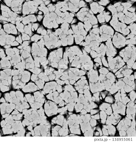 Fossil Coral Pattern Alpha Mask Stencil 138955061