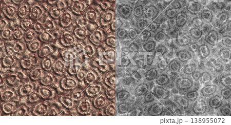 Fossil Coral and Shading Map Comparison Display 138955072