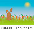 Easter bunny rabbit in green meadow of carrots 138955150