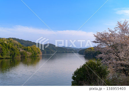 春の湖畔を彩る満開の桜と青空の風景 138955403
