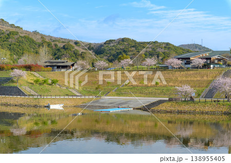 春の湖畔を彩る満開の桜と青空の風景 春の湖畔を彩る満開の桜と青空の風景 138955405