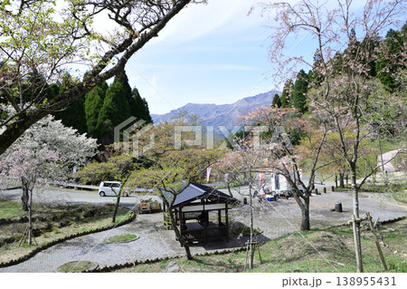 高森千本桜 高森千本桜 138955431