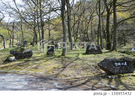 高森千本桜 138955432