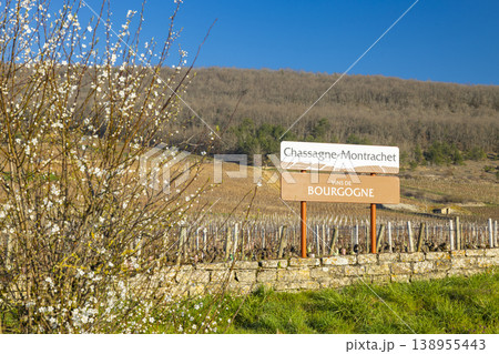 Chassagne Montrachet Bourgogne wine region sign spring blooms Chassagne Montrachet Bourgogne wine region sign spring blooms 138955443