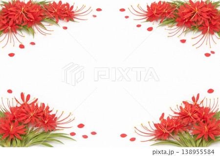 フレーム素材　花　ヒガンバナ 138955584