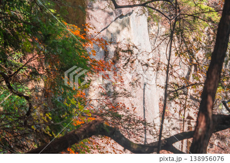 【日本の滝百選】晩秋の寂地峡五龍の滝1　龍頭の滝手前の絶壁と紅葉　山口県岩国市 138956076