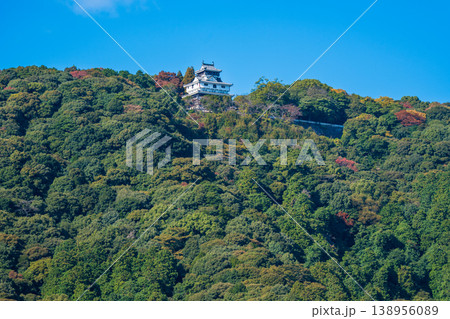 【日本100名城】山麓から望む晩秋の岩国城 山口県岩国市 【日本100名城】山麓から望む晩秋の岩国城 山口県岩国市 138956089