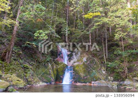 【日本の滝百選】晩秋の寂地峡五龍の滝　龍尾の滝1　山口県岩国市 138956094