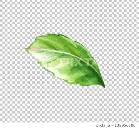 Handmade watercolor illustration with a single fresh green mint leaf isolated on a white background. 138956206