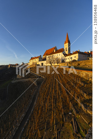 Znojmo town with vineyards at sunset, Czechia Znojmo town with vineyards at sunset, Czechia 138956468