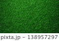 Dense Green Grass Texture Background Full Frame 138957297