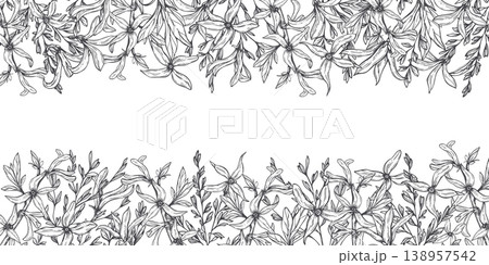 Forsythia flower with herbs horizontal border black and white hand drawn illustration. Branches with blooming flowers floral frame, blank space for text. For wedding invitation, greeting card Forsythia flower with herbs horizontal border black and white hand drawn illustration. Branches with blooming flowers floral frame, blank space for text. For wedding invitation, greeting card 138957542