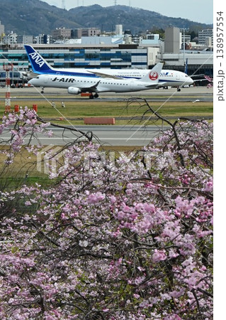 伊丹スカイパーク 桜咲き頃 伊丹スカイパーク 桜咲き頃 138957554