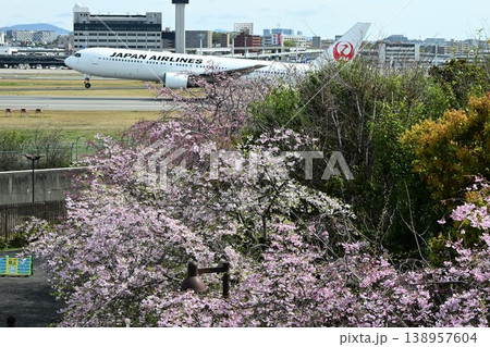 伊丹スカイパーク　桜咲き頃 138957604