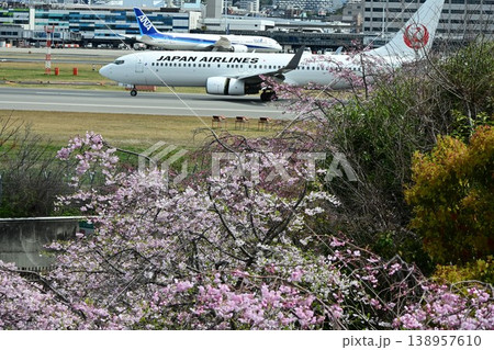 伊丹スカイパーク 桜咲き頃 伊丹スカイパーク 桜咲き頃 138957610