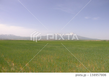 Mount Hasan Volcano Cappadocia Landscape. Majestic snow-capped Mount Hasan peaks over green spring fields in Cappadocia, Turkey. Mount Hasan Volcano Cappadocia Landscape. Majestic snow-capped Mount Hasan peaks over green spring fields in Cappadocia, Turkey. 138957806
