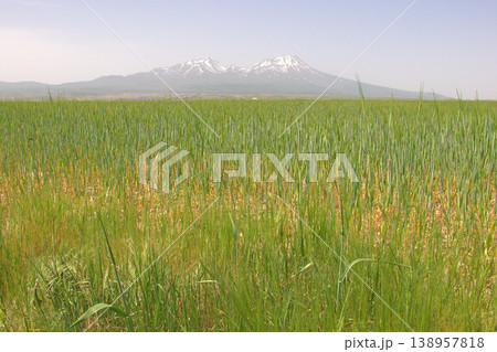 Mount Hasan Volcano Cappadocia Landscape. Majestic snow-capped Mount Hasan peaks over green spring fields in Cappadocia, Turkey. 138957818