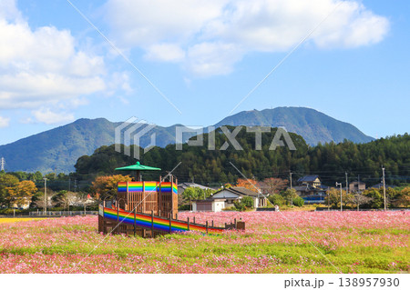 福岡県田川郡のおうとう桜街道花公園のコスモスと展望テラス 138957930