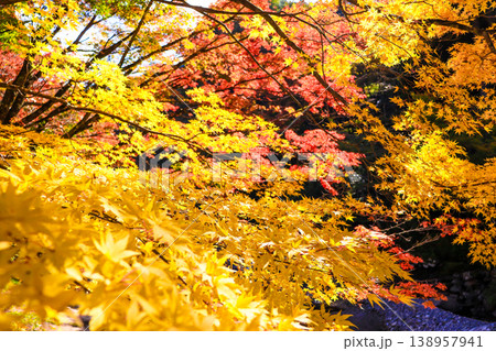 福岡県添田町の英彦山大権現湯の谷別院の紅葉 138957941