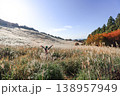 英彦山鷹巣原高原の銀色のススキが広がる雄大な光景と人物 138957949