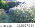 福岡県添田町の人気スポット鷹巣原高原のススキの中を歩く人物 138957950
