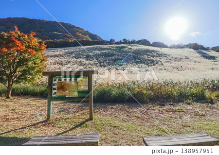 福岡県英彦山の鷹巣原高原秋の紅葉と一面に広がるススキ 福岡県英彦山の鷹巣原高原秋の紅葉と一面に広がるススキ 138957951