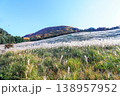 福岡県添田町の人気スポット鷹巣原高原のススキヶ原 138957952