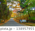 福岡県添田町の英彦山青年の家紅葉するエントランス 138957955