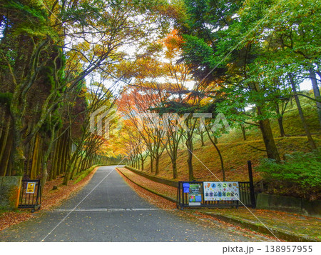 福岡県添田町の英彦山青年の家紅葉するエントランス 138957955